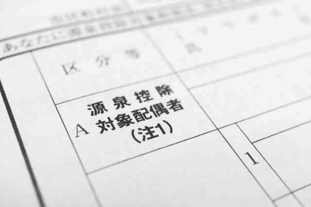 納税と還付のための確定申告とは?