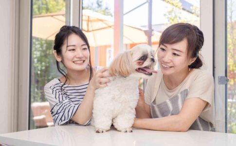 動物に関わる仕事を解説【資格が要らない仕事も多く挑戦しやすい】