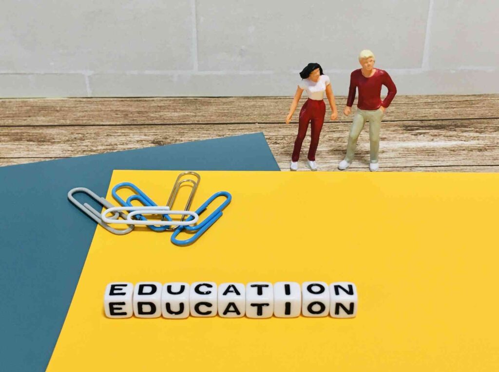 博士課程中退者の最終学歴