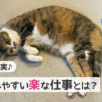 給料安くてもいいからとにかく精神的に楽な仕事15選!コツも解説