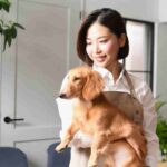 犬に関わる仕事20選！資格なしでも働ける仕事に就く方法も解説！