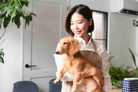 犬に関わる仕事20選！資格なしでも働ける仕事に就く方法も解説！